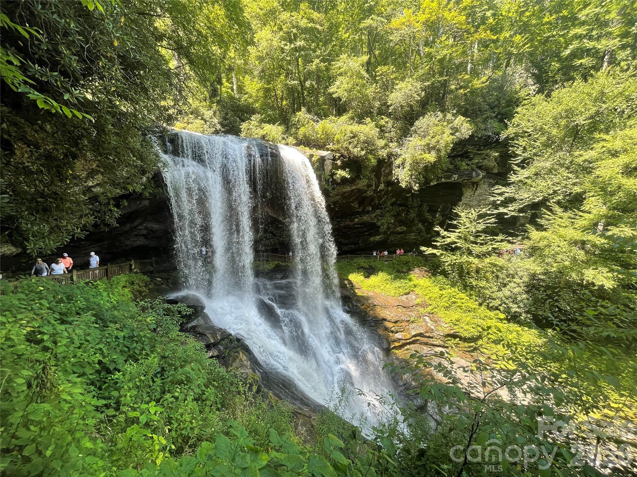 Holly Forest Iii - Land