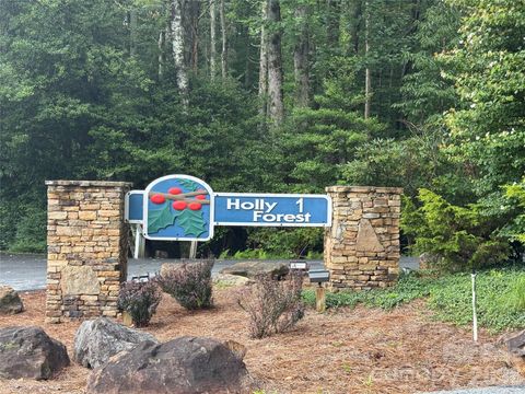 66 W Christy Trail Sapphire NC 28774