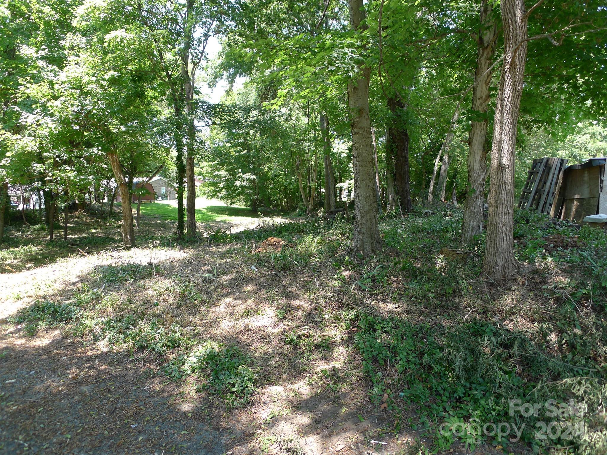 351 Honeysuckle Street