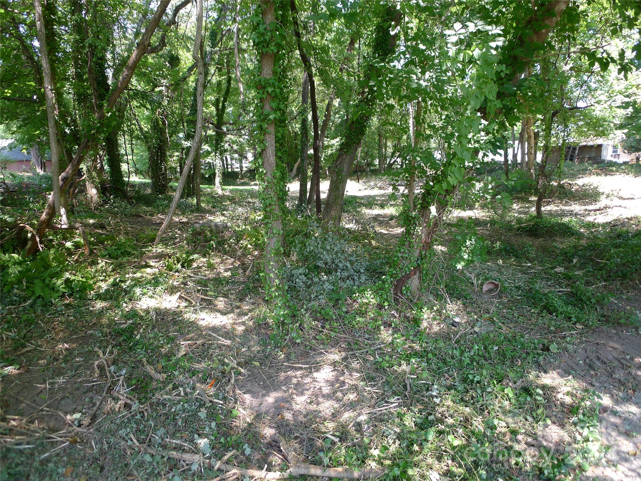 351 Honeysuckle Street