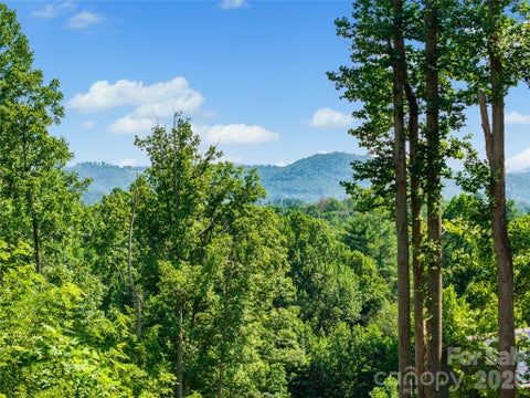 Photo of 51 Wind Stone Drive, Asheville, NC 28804 (MLS # 4404740)
