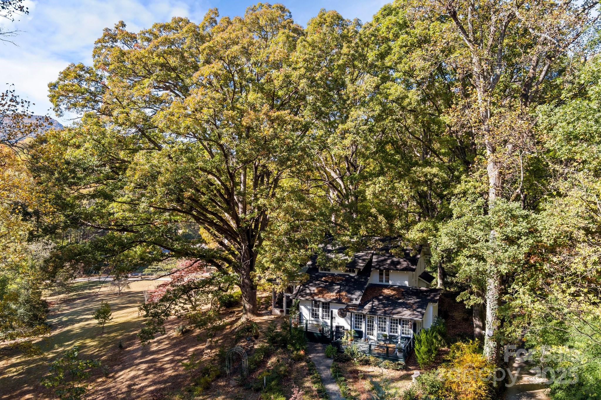 144 Miller Drive