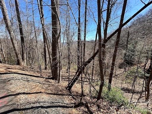 The Woodlands - Land