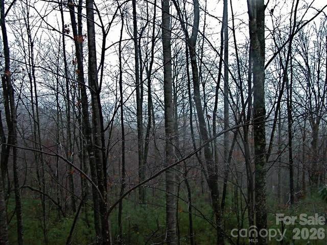 The Woodlands - Land