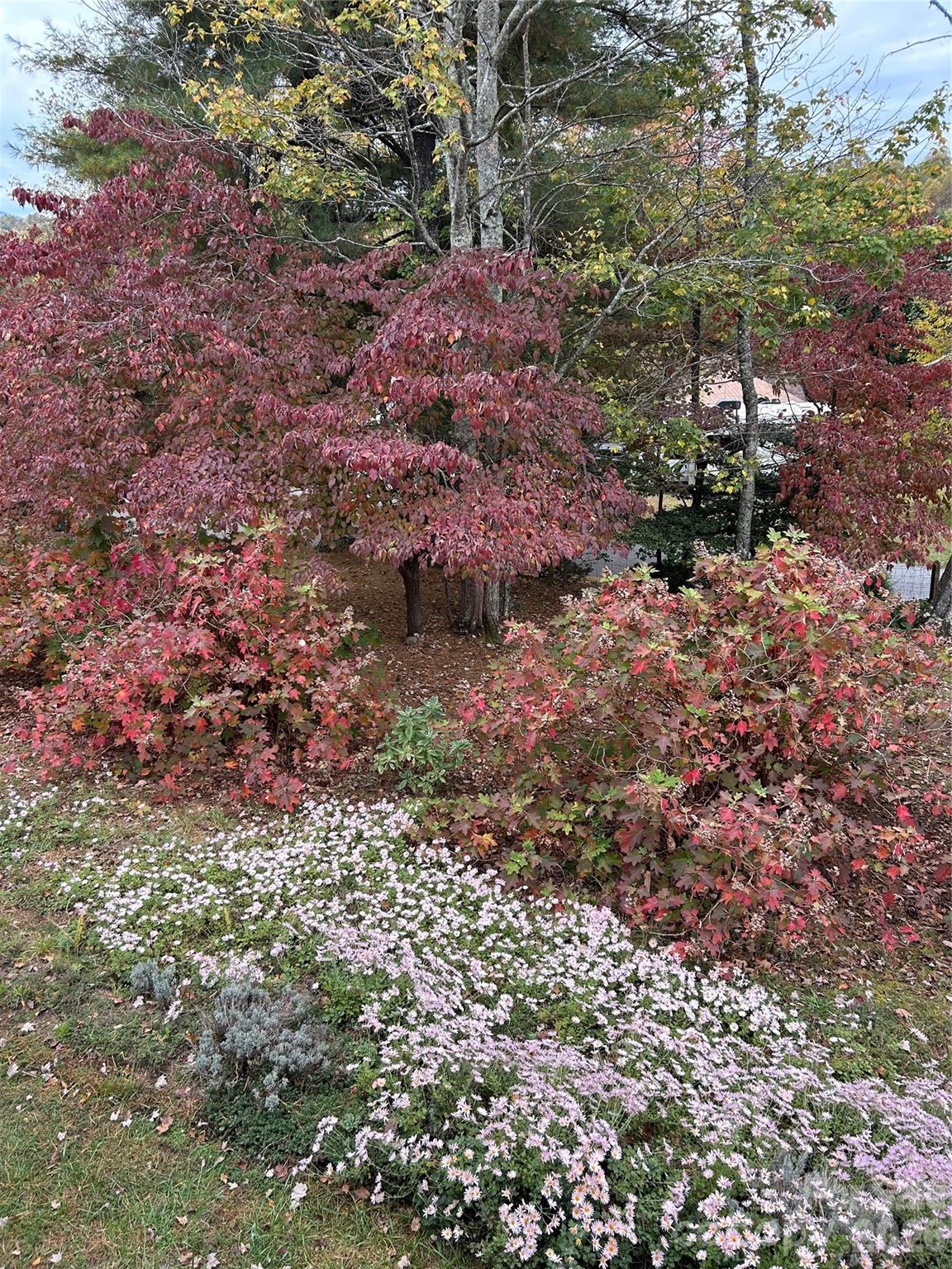 Meadowview - Residential