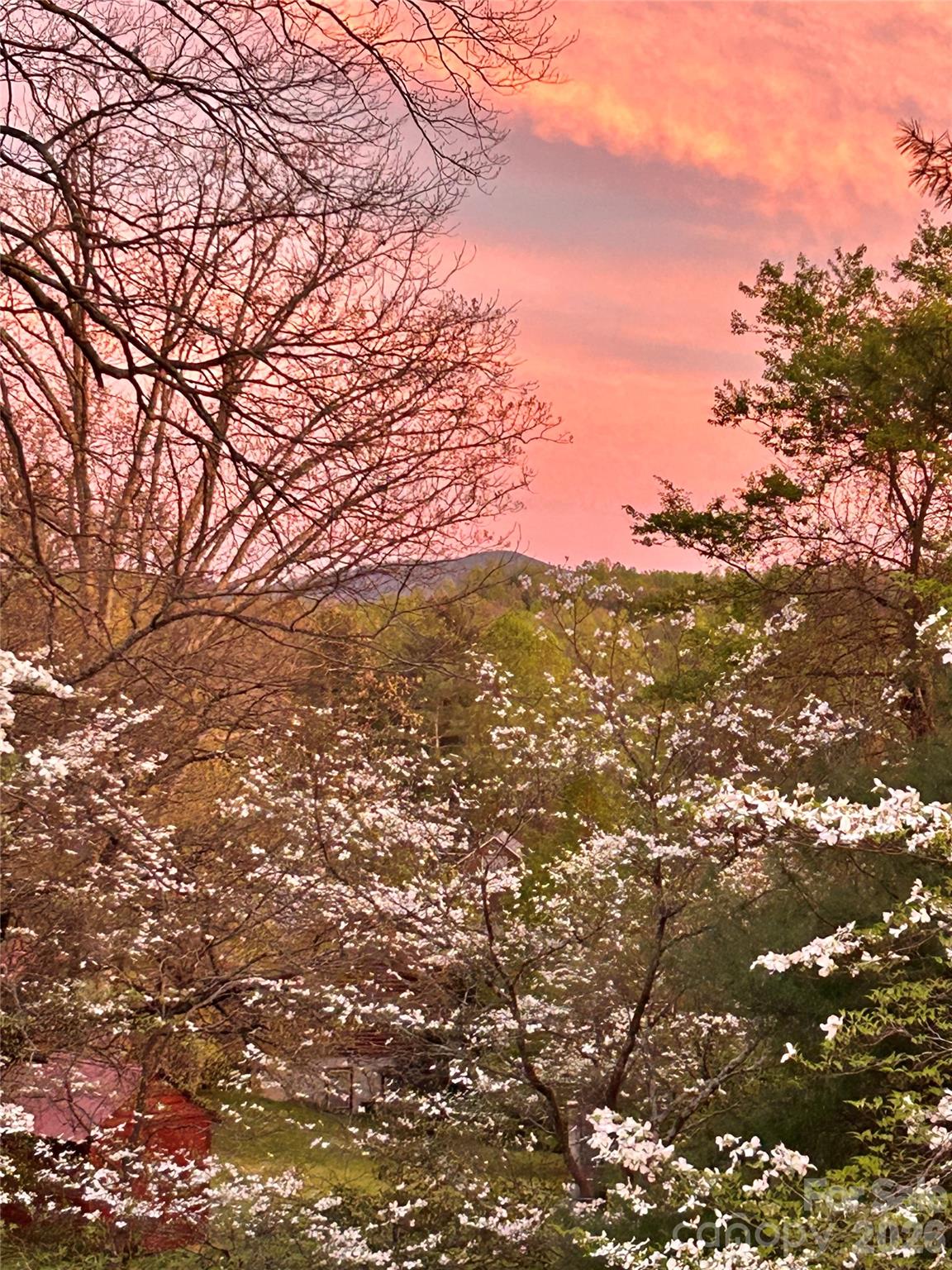 Meadowview - Residential