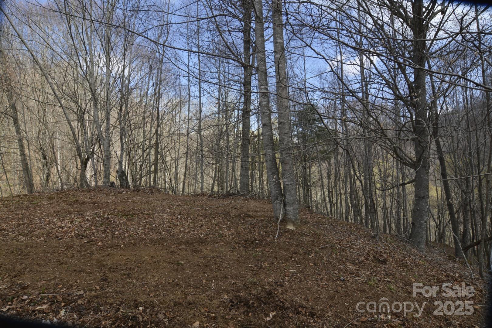 Wolfs Crossing - Land