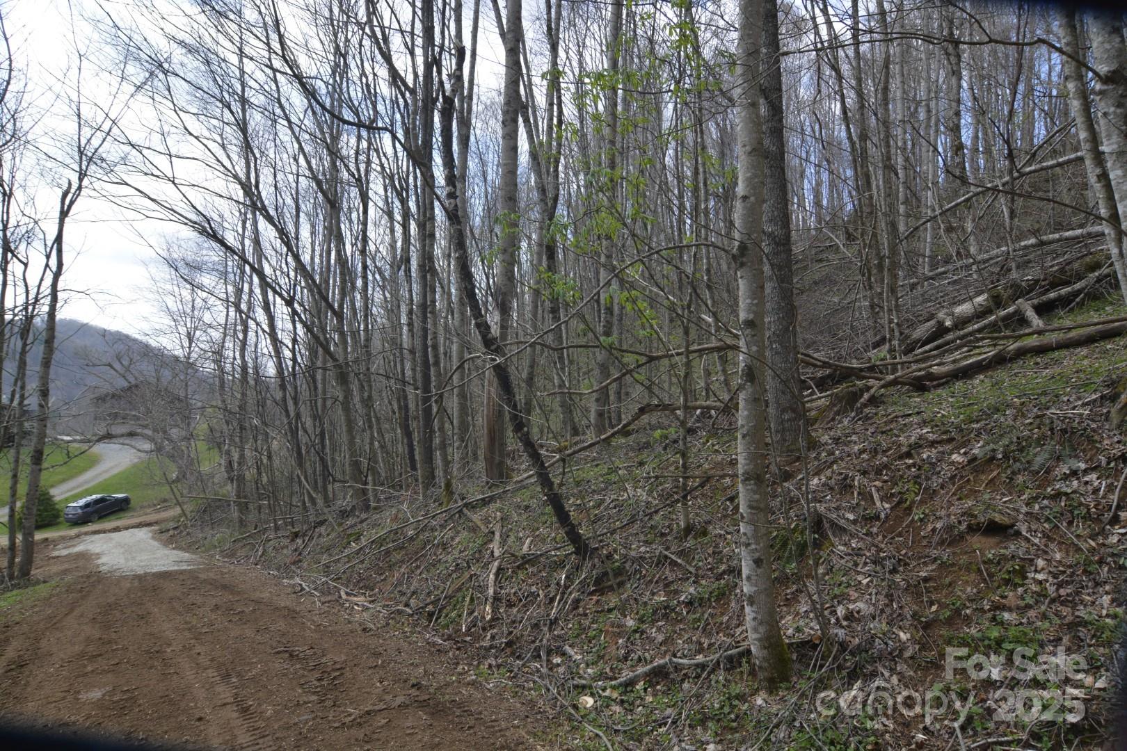 Wolfs Crossing - Land