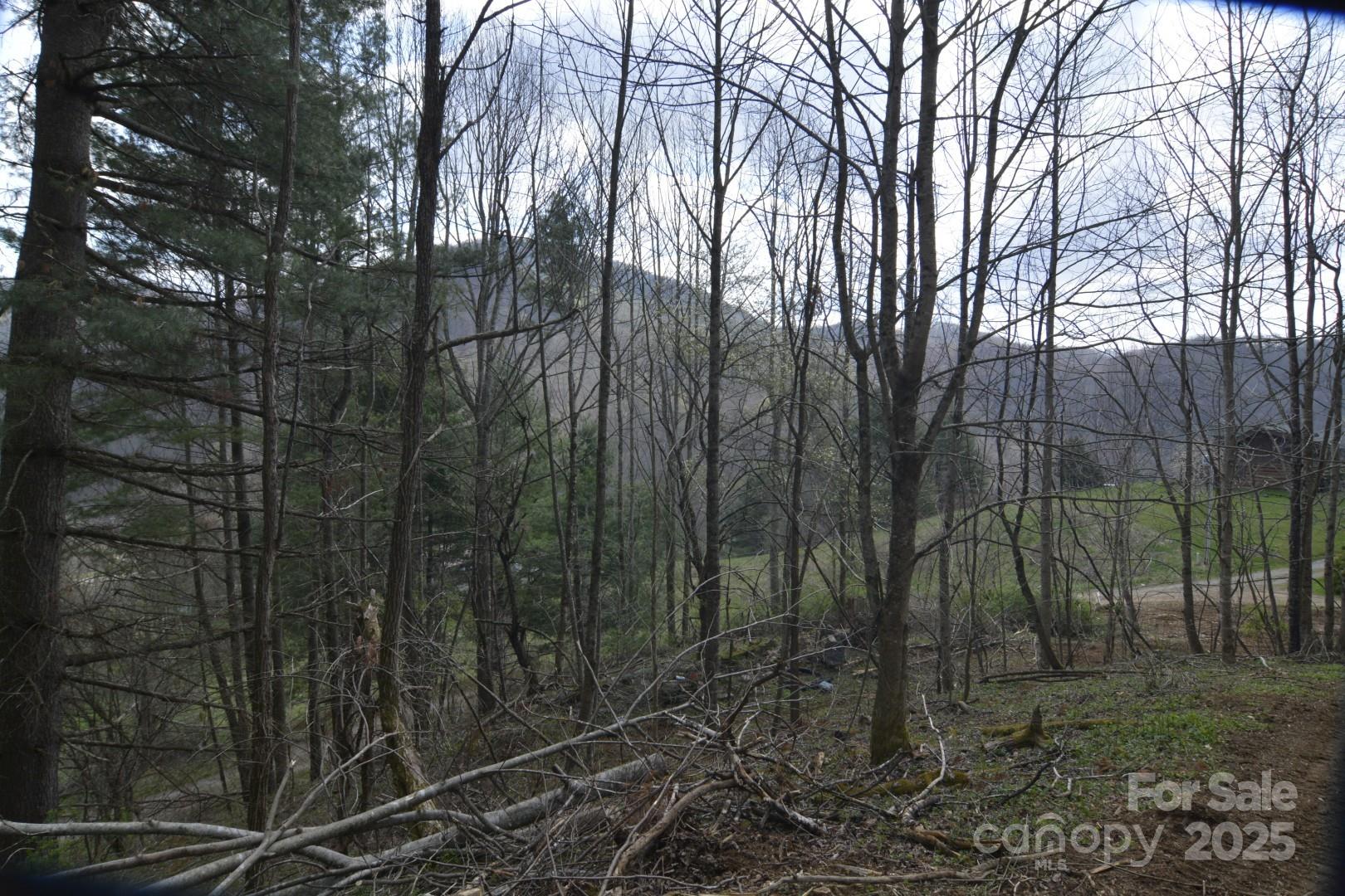 Wolfs Crossing - Land