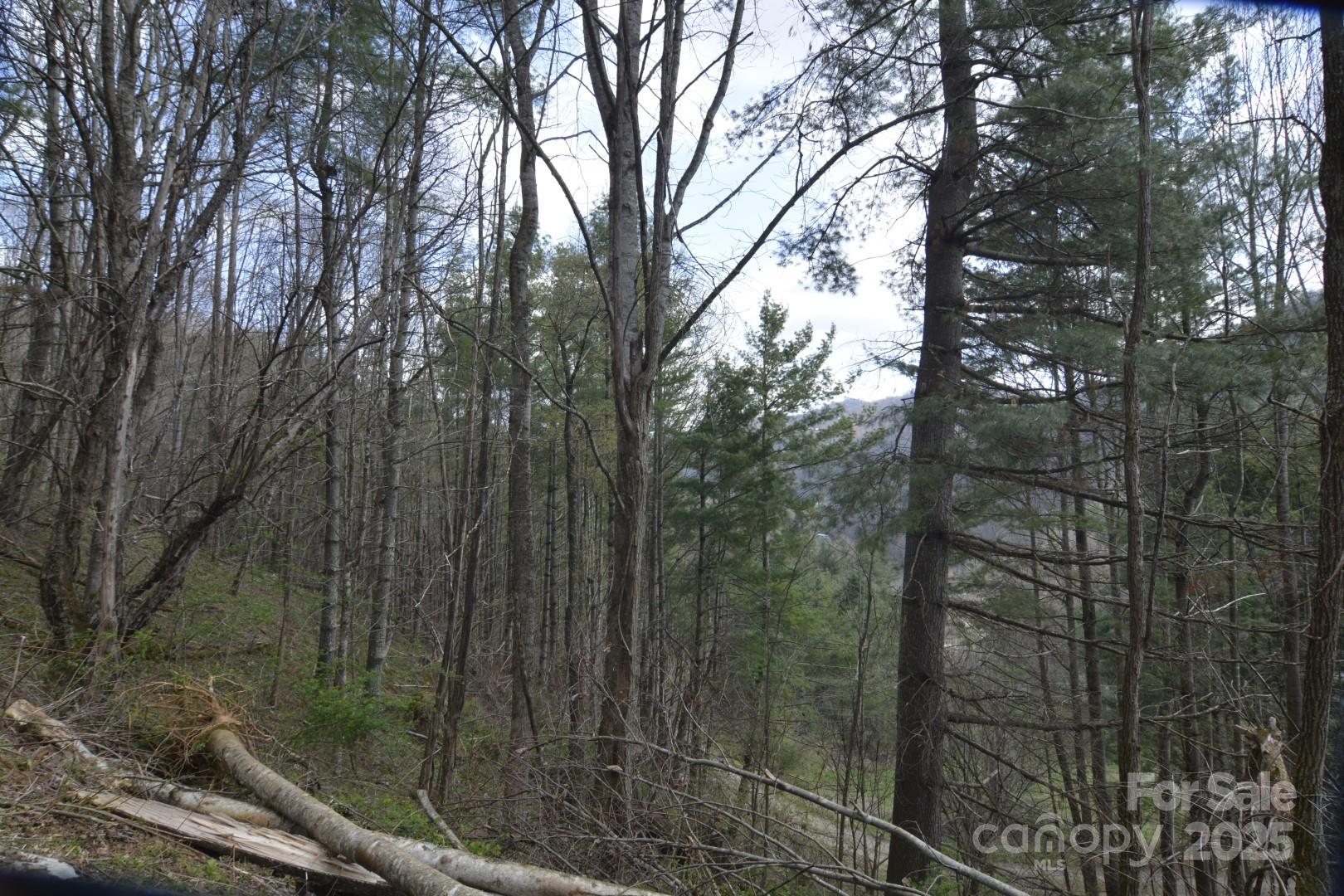 Wolfs Crossing - Land