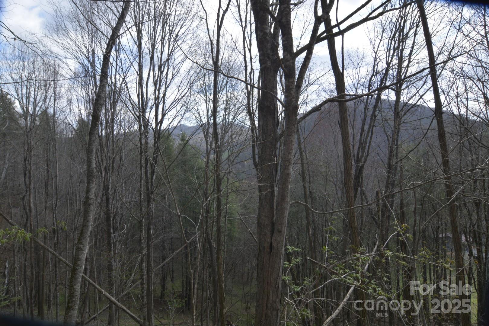 Wolfs Crossing - Land