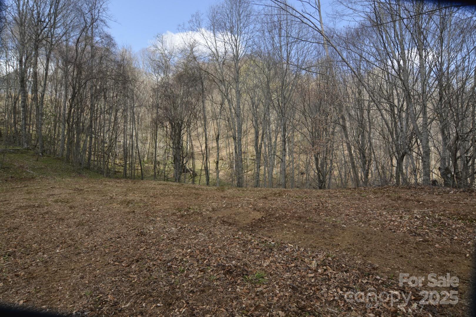 Wolfs Crossing - Land