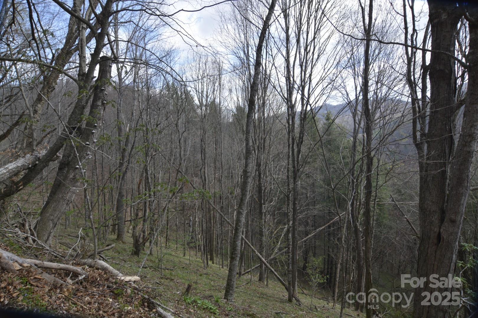 Wolfs Crossing - Land