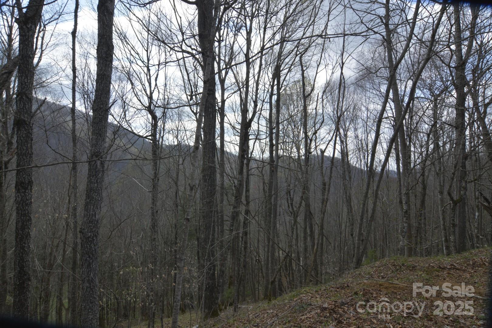 Wolfs Crossing - Land