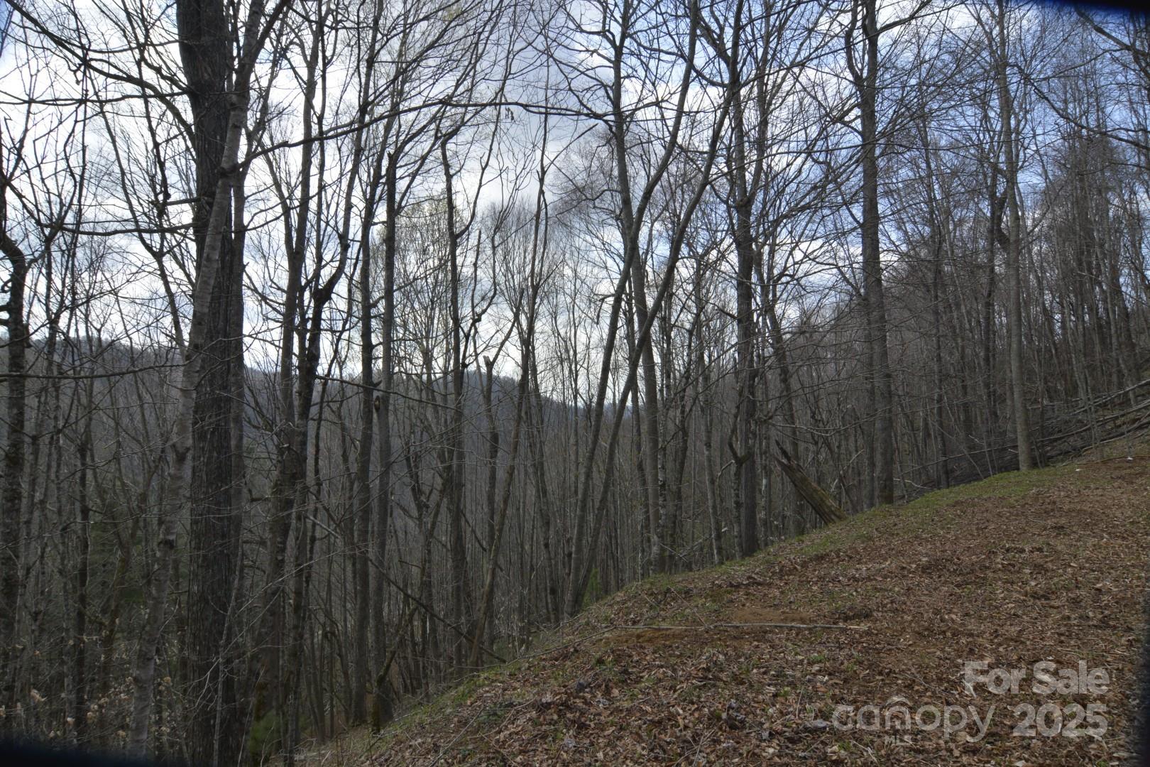 Wolfs Crossing - Land