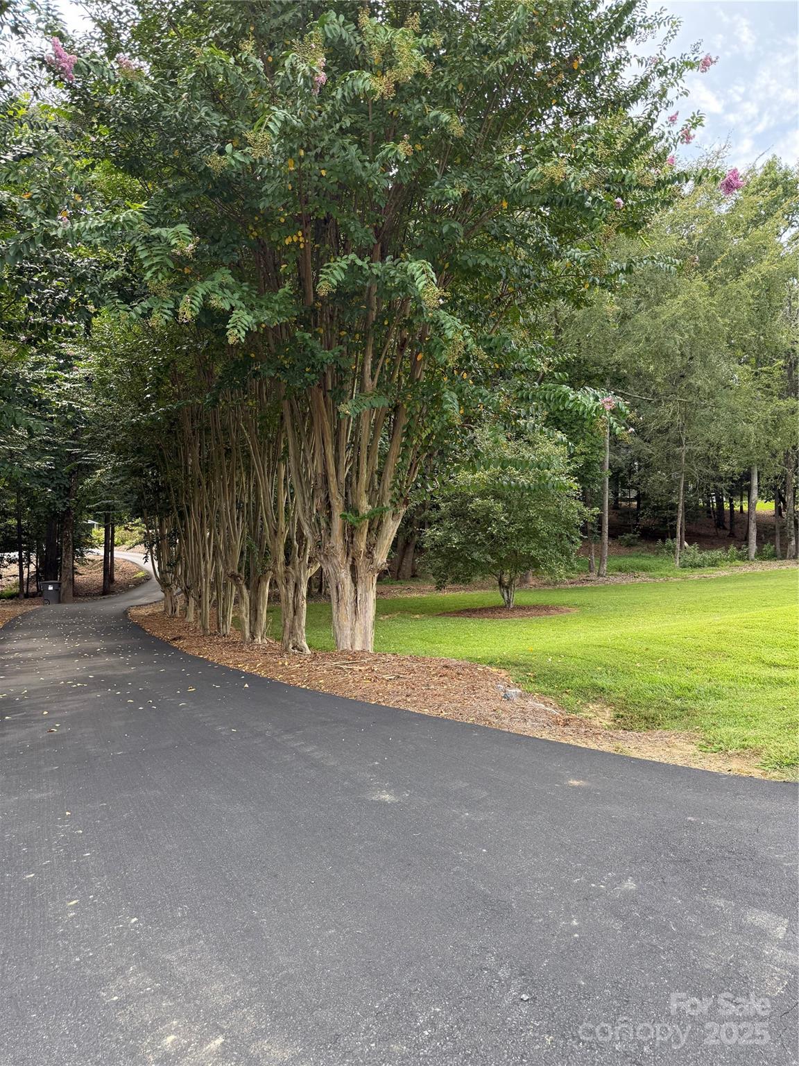 7153 Strawberry Lane