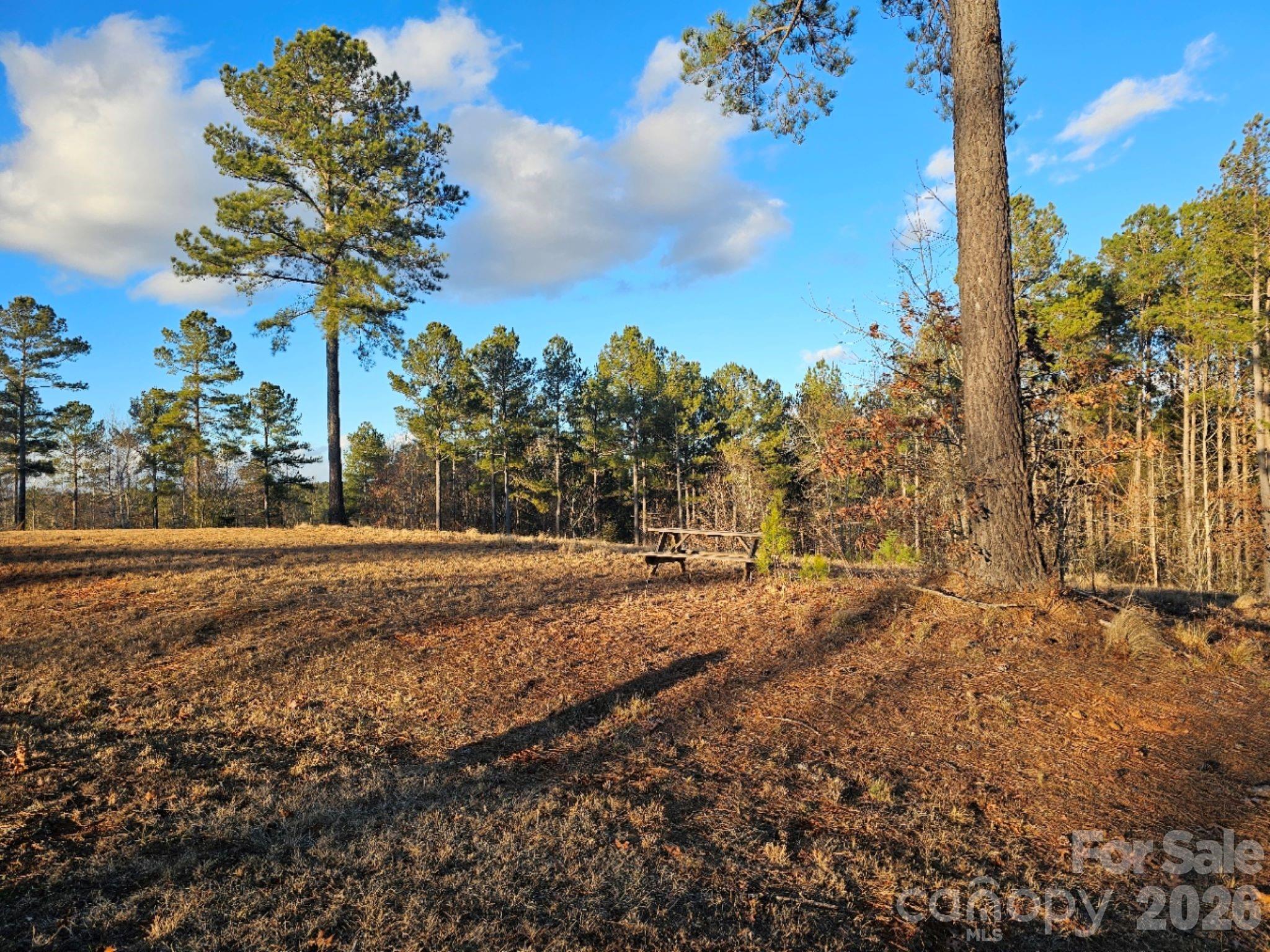 Island Pointe at Lake Vistas - Land