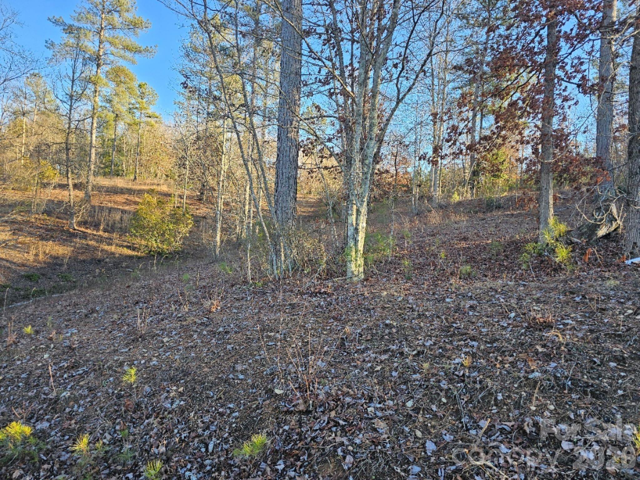 Island Pointe at Lake Vistas - Land