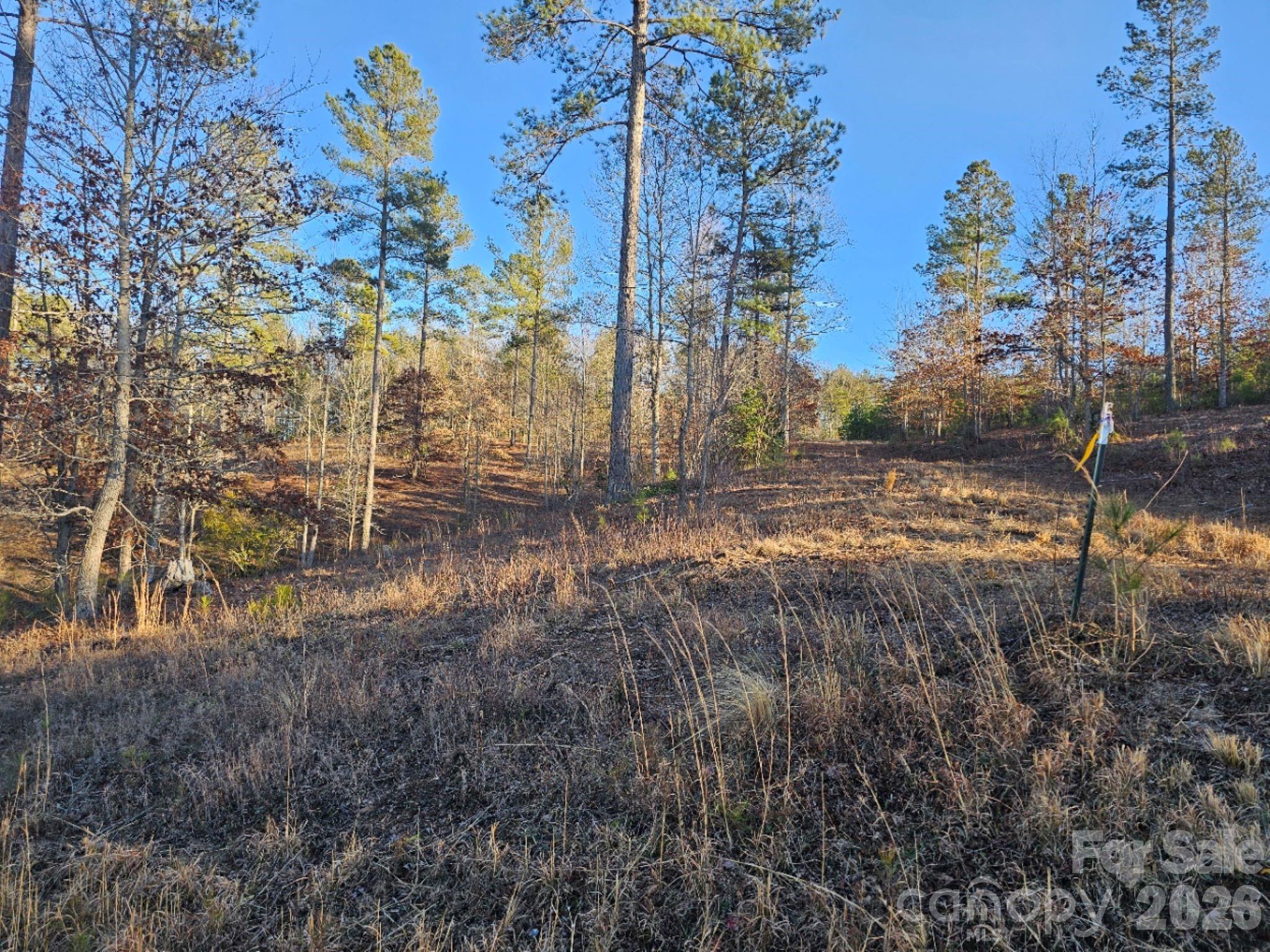 Island Pointe at Lake Vistas - Land