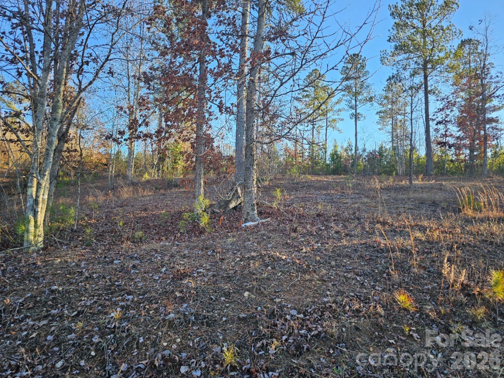 Island Pointe at Lake Vistas - Land