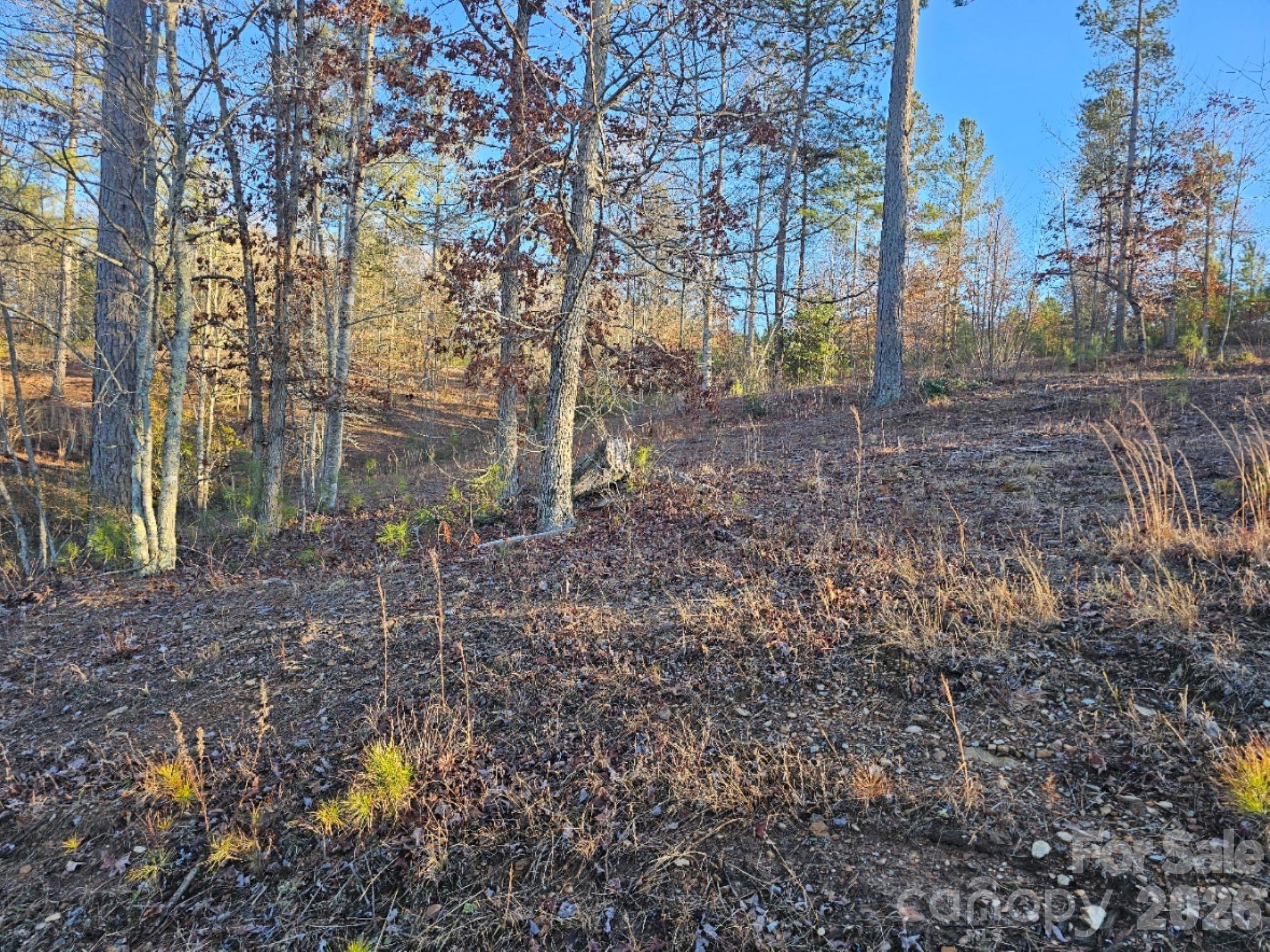 Island Pointe at Lake Vistas - Land