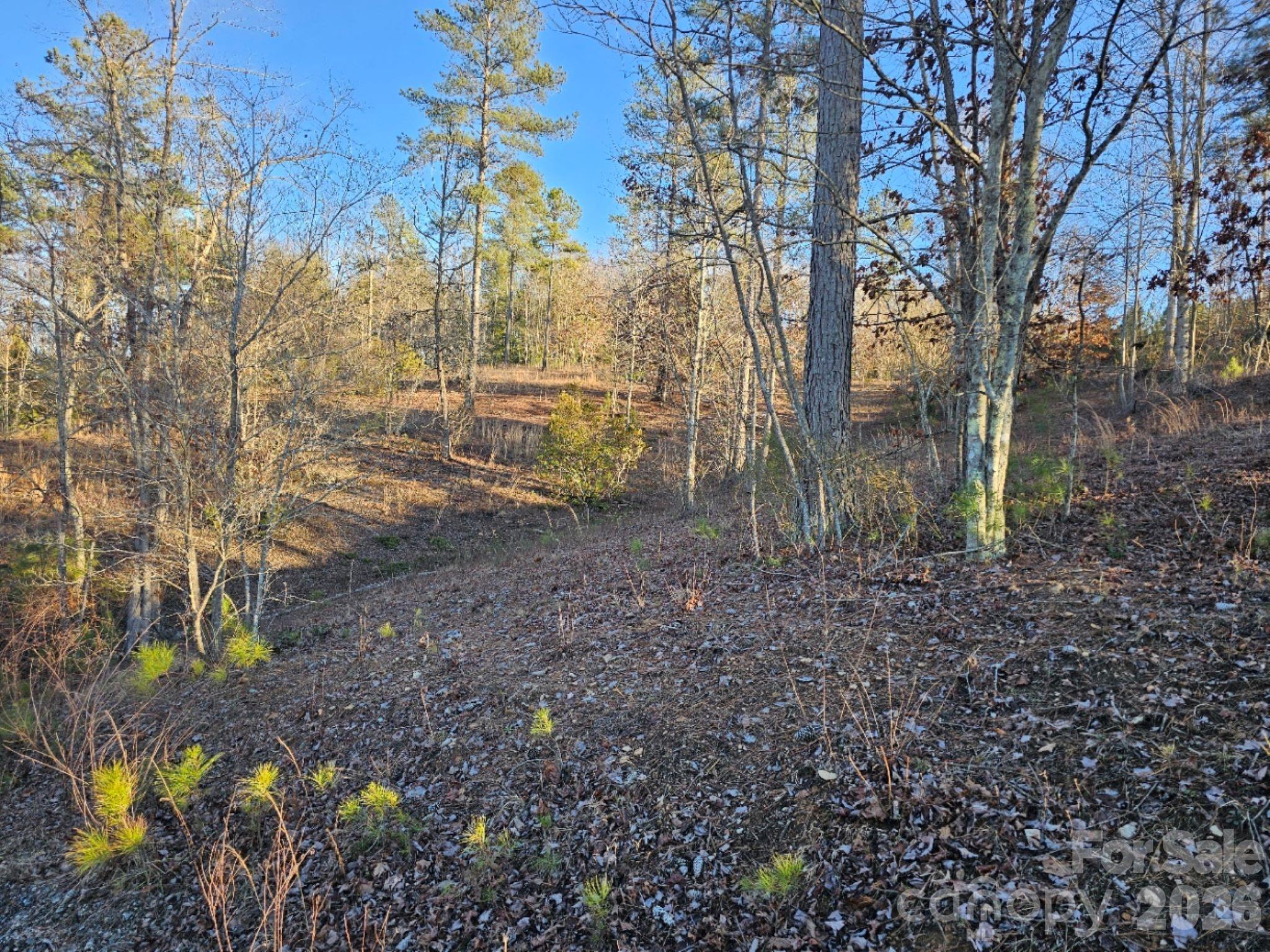 Island Pointe at Lake Vistas - Land