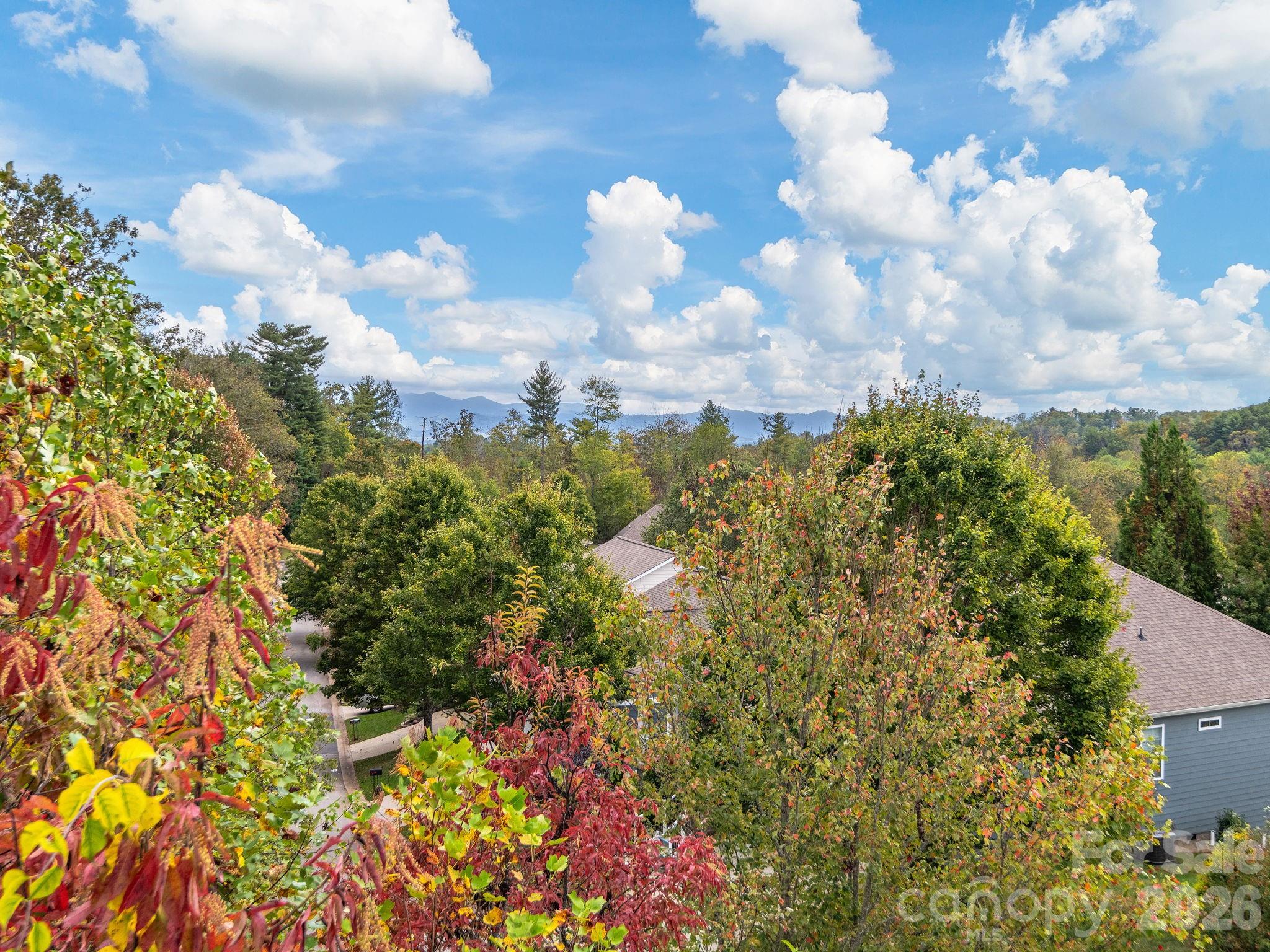 The Views at Rose Hill - Residential