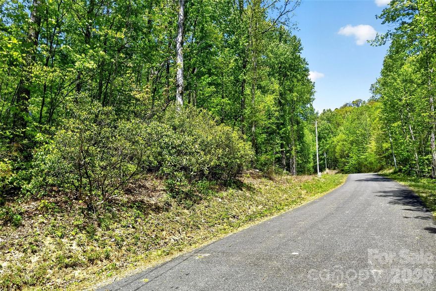 This flat 2.08-acre lot is ready for you! Located inside Gateway Mountain, just east of Black Mountain and Asheville, this property offers both convenience and natural beauty. Situated on Rhododendron Drive, the lot provides easy access and the potential for long-range mountain views with selective clearing. A mature hardwood forest adds to the charm and privacy.

You’ll be just minutes from Waterfall Park and Lake George—both designated common areas within the gated community of Gateway Mountain. Enjoy swimming, relaxing, and exploring all this unique neighborhood has to offer. Short-term rentals are permitted, adding flexibility and investment potential.

Come tour this beautiful lot today and imagine the possibilities!