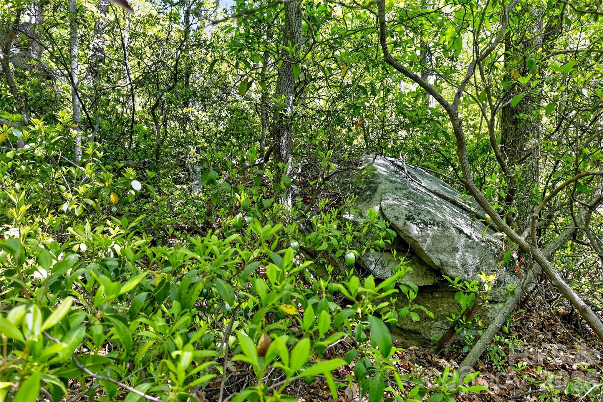 Gateway Mountain - Land