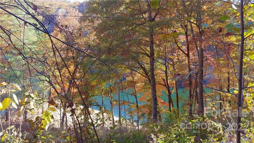 Close proximity to Fontana Lake shoreline with views.  This lot is improved and unrestricted; ready to make it your own.  The driveway is done, house pad is cleared, septic is installed, spring water and reservoir and power nearby.  Being that it is unrestricted you can begin to enjoy this peaceful Lake getaway now.  The seller is motivated and will consider owner financing with an acceptable offer.  This kind of opportunity does not happen often.  Come and see this lot today.