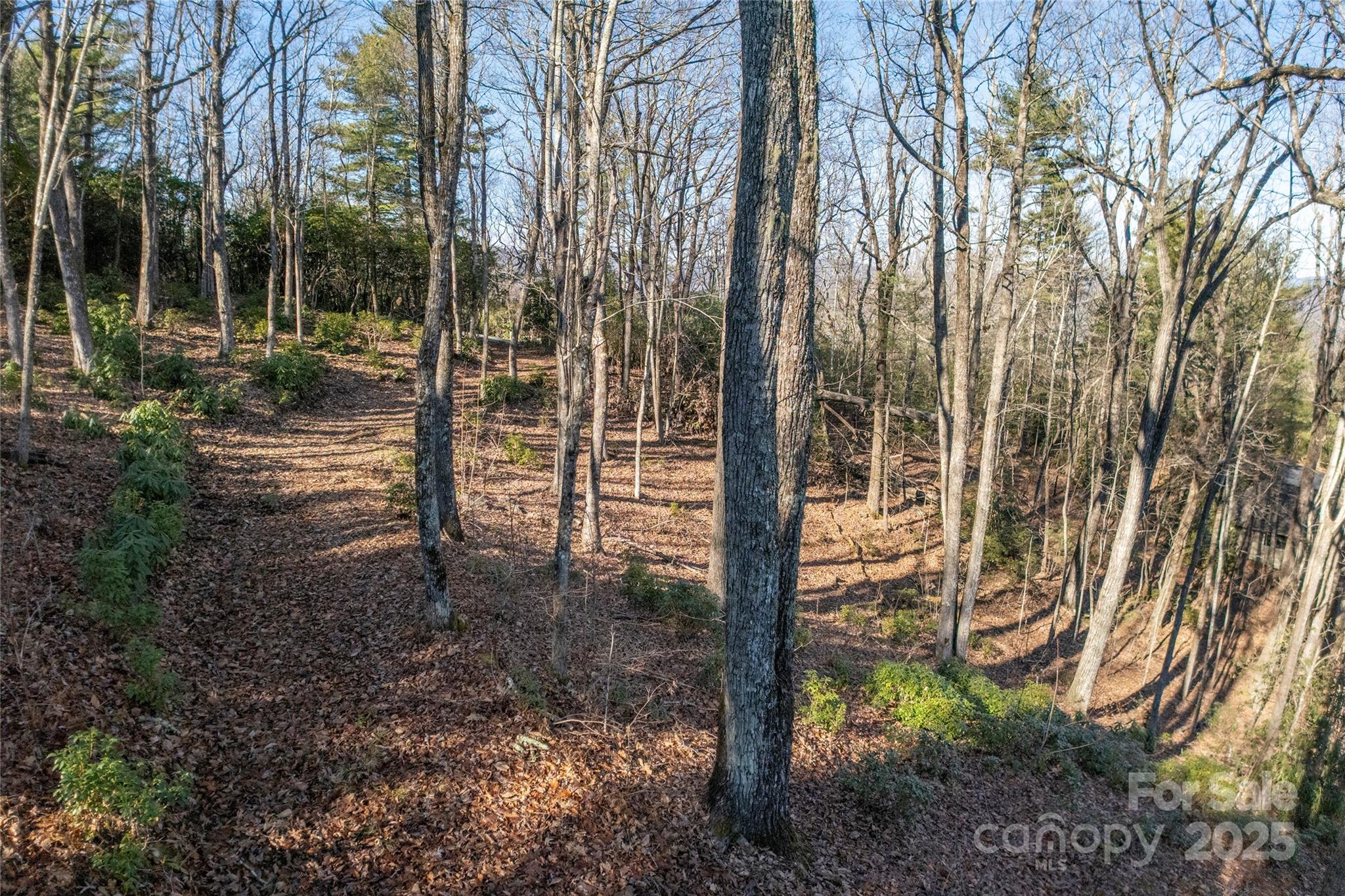 Lot 25 Lakeside Trail