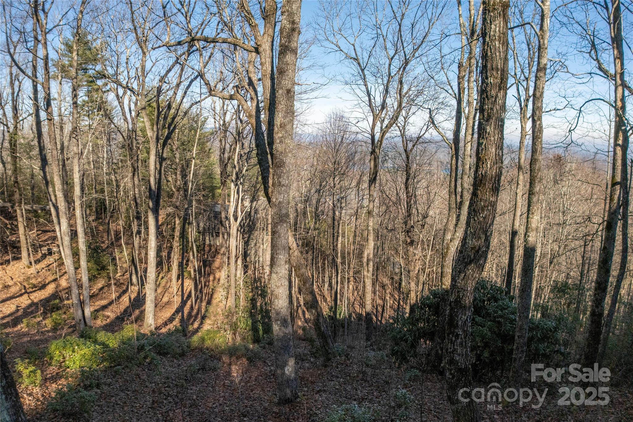 Lake Toxaway Estates - Land