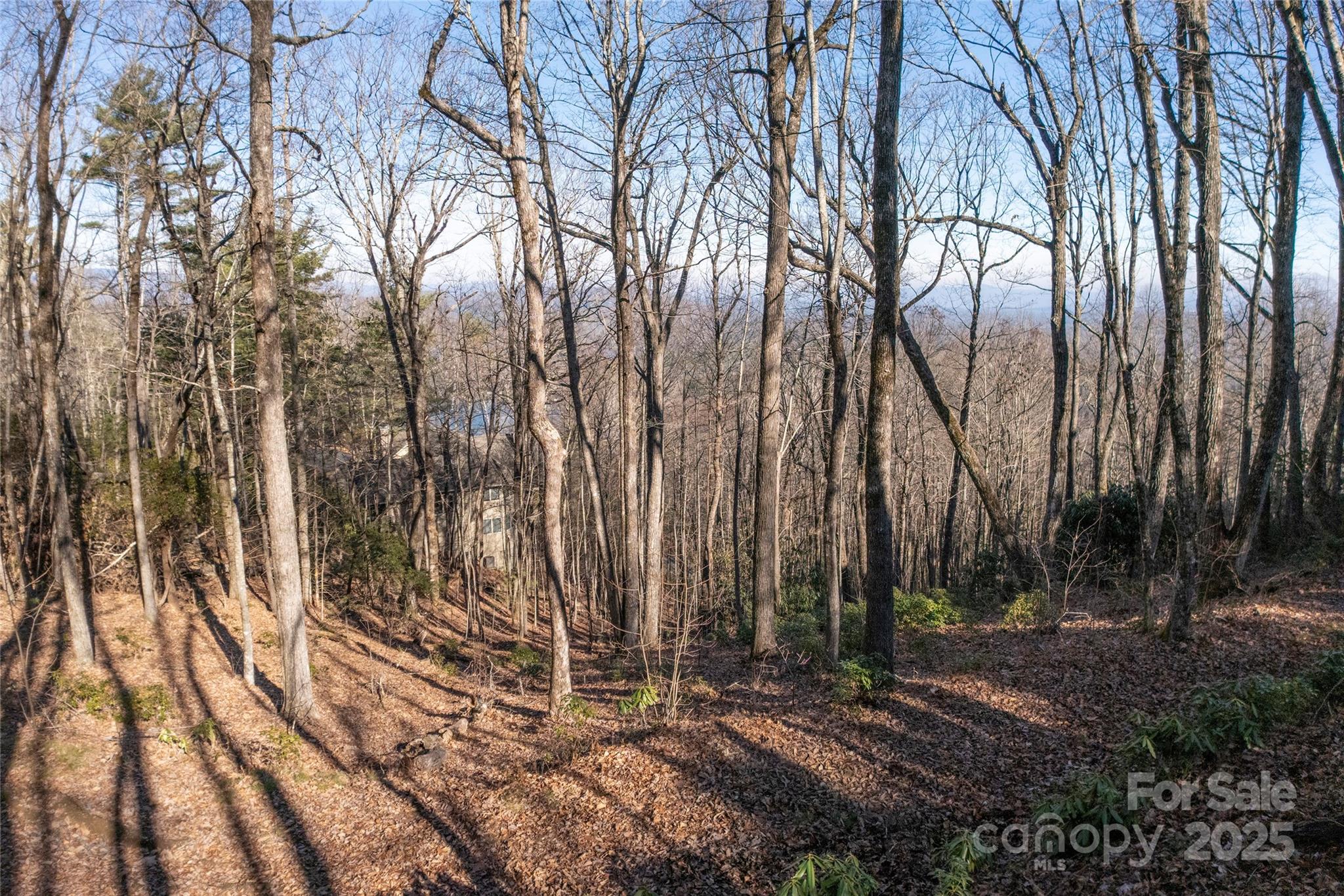 Lake Toxaway Estates - Land
