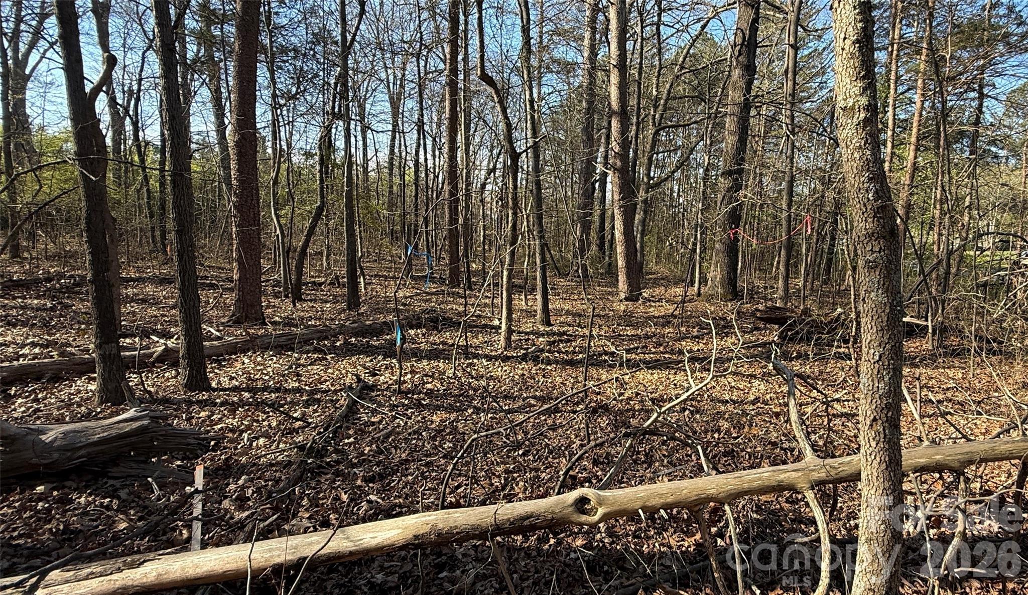 1361 Zeb Haynes Road 1