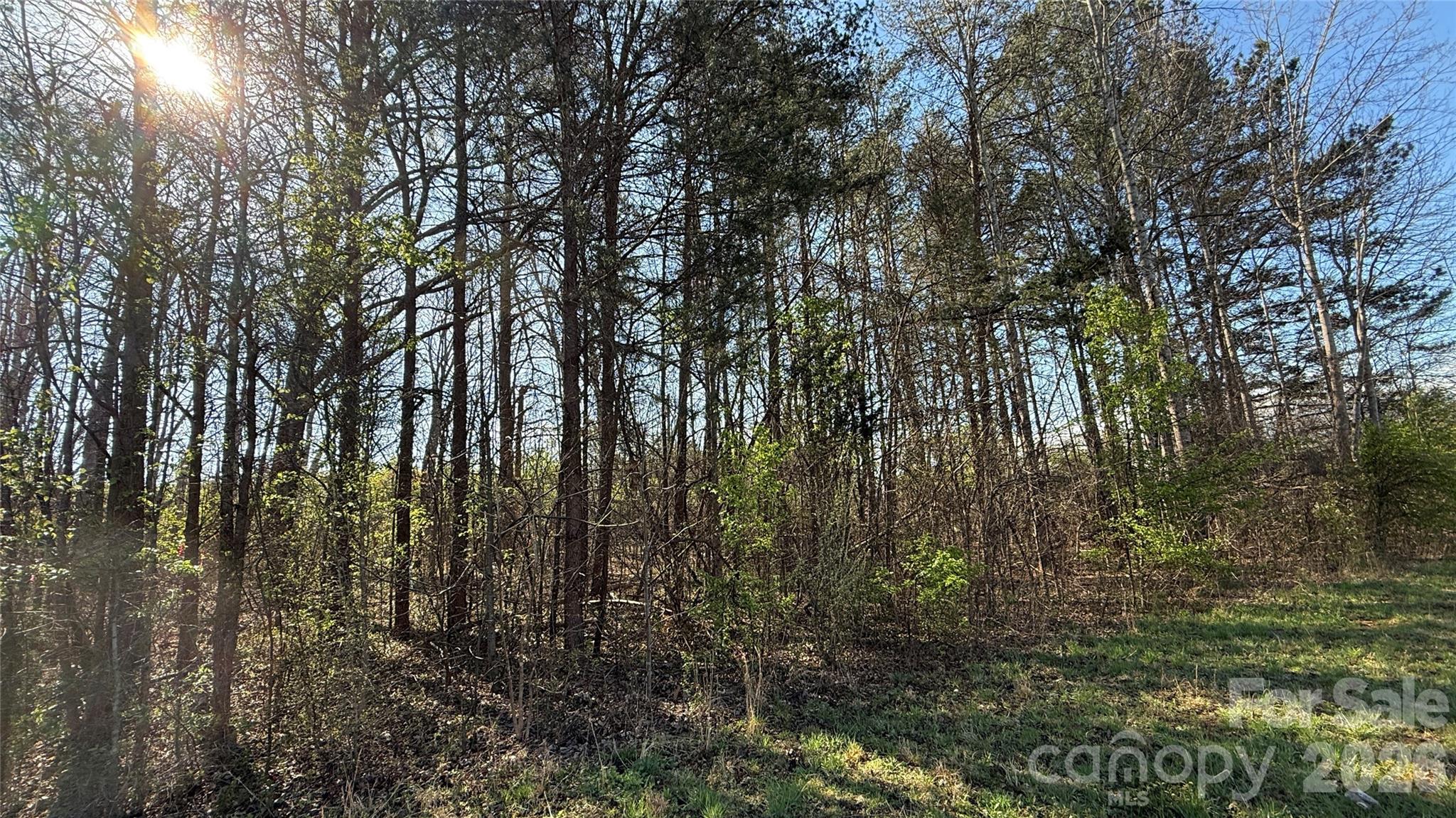 1361 Zeb Haynes Road 1