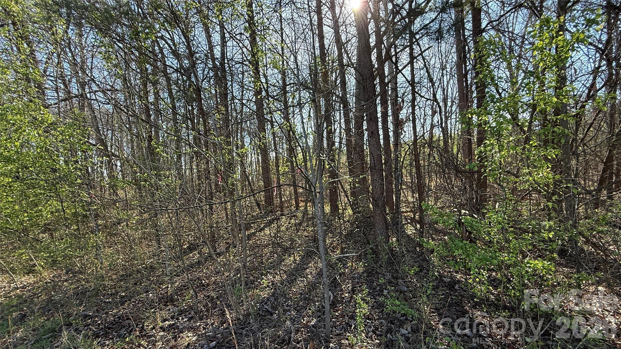 1361 Zeb Haynes Road 1