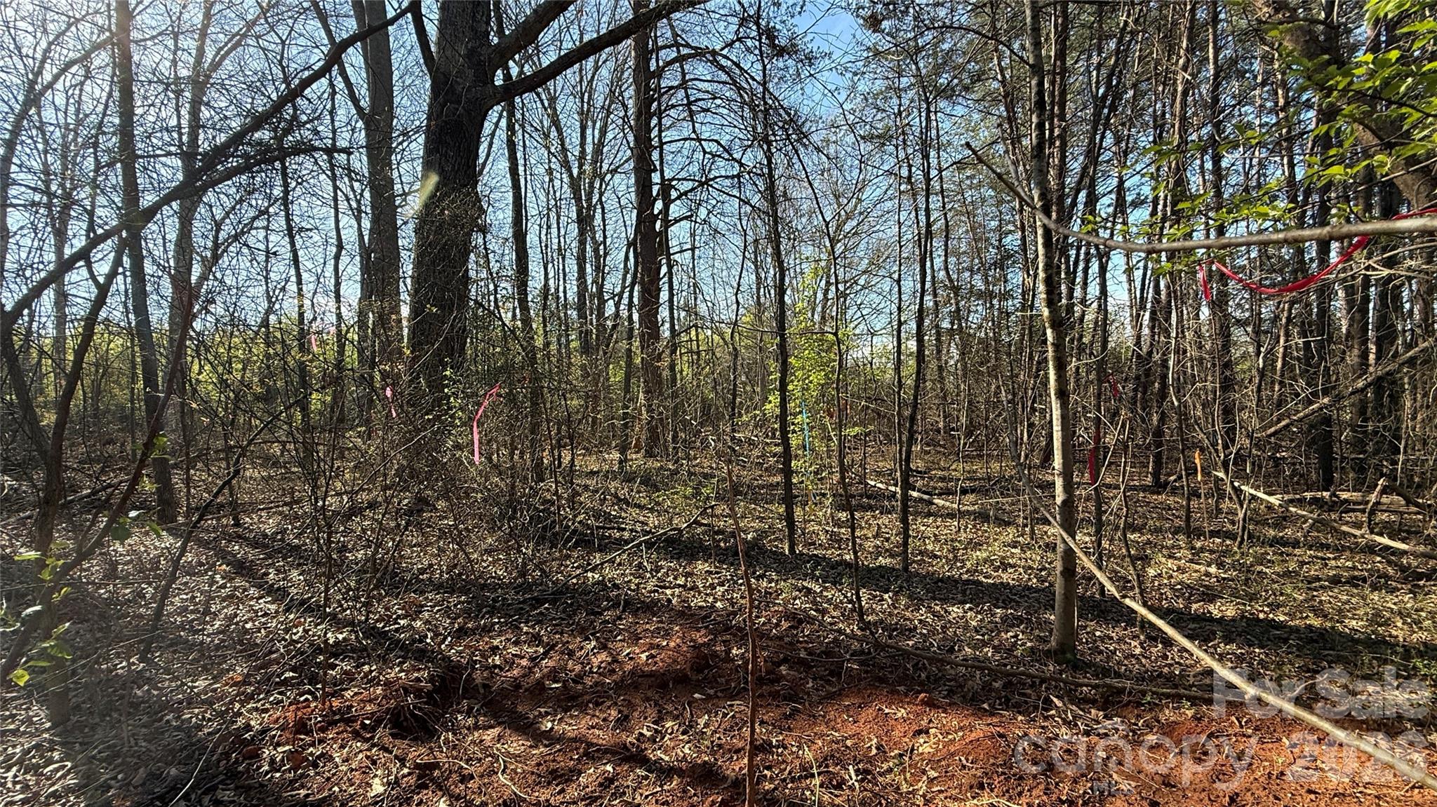 1361 Zeb Haynes Road 1