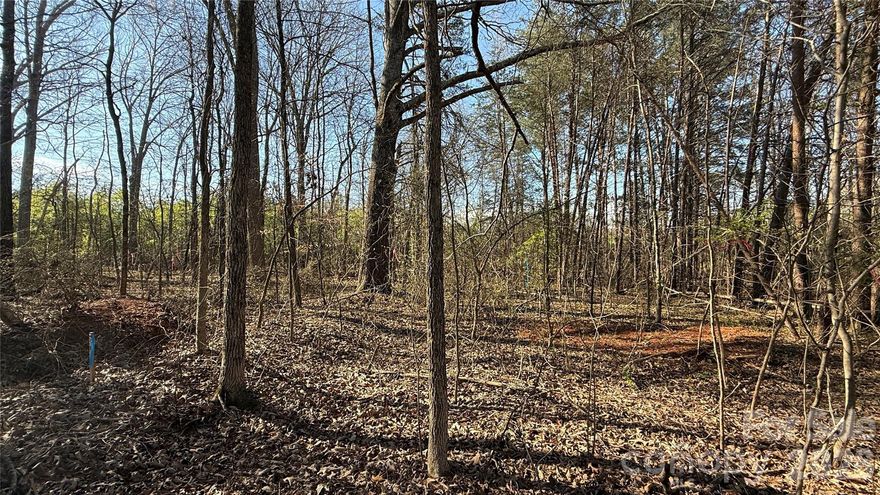 Update: Now has a 3 bedroom septic permit design. Don't miss this rare opportunity to secure a excellent building lot that is primed and ready for your dream home in Maiden. Offering a gentle rise off excellent road frontage to optimize improvement costs, this lot comes with beautiful natural surroundings and is only being minutes from town.This parcel takes the headache out of building. Enjoy the convenience of county water access and peace of mind knowing that preliminary soil work is already done. A fantastic build site that is just waiting for your vision; come walk the property today! You may use the seller/builder or bring your own builder.