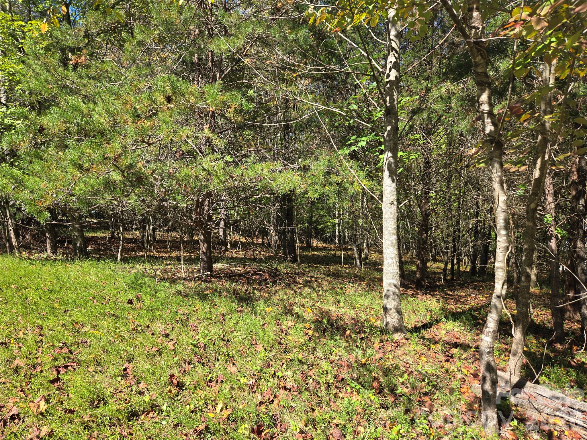 1021 Sweetbriar Lane