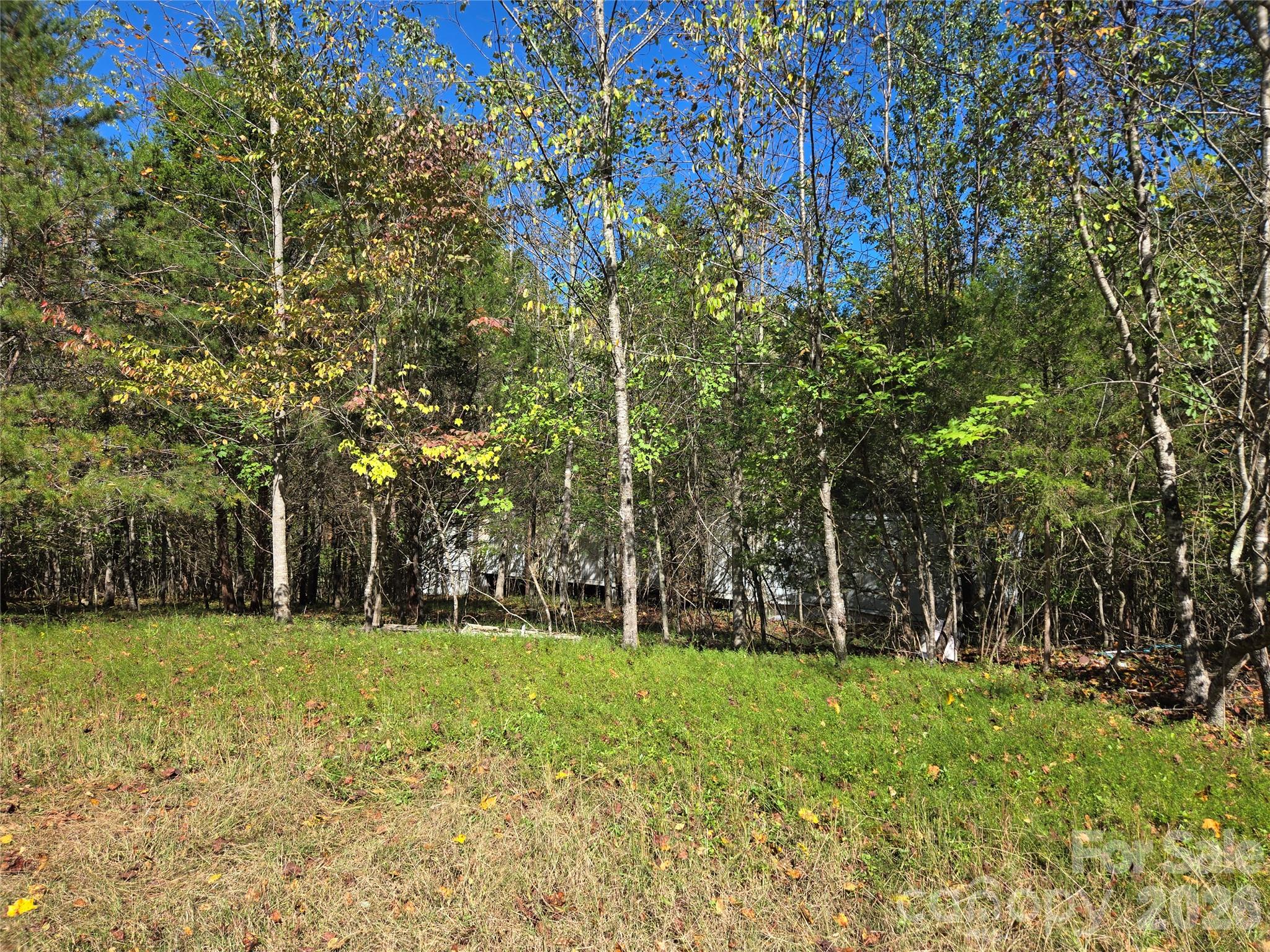1021 Sweetbriar Lane