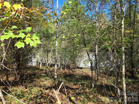 Photo of 1021 Sweetbriar Lane, Hamptonville, NC 27020 (MLS # 4434039)