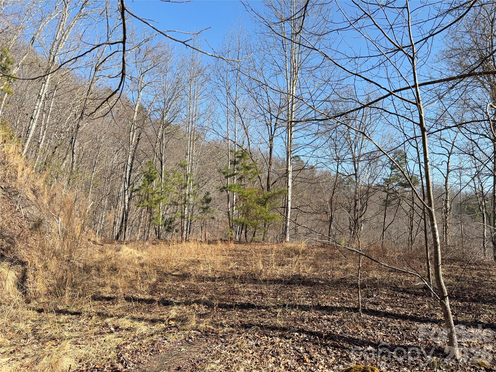 0 Brush Creek Road 37 & 41