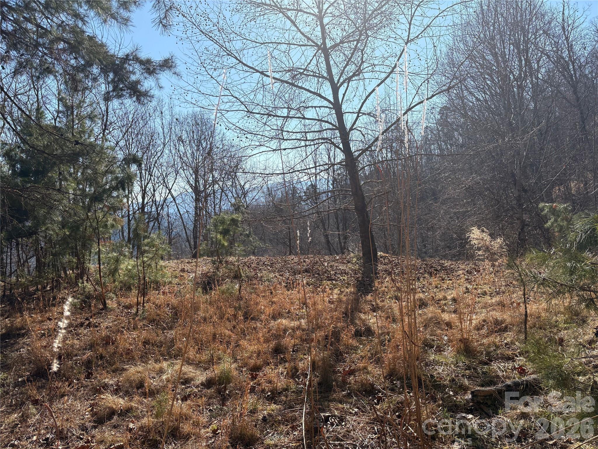 0 Brush Creek Road 37 & 41