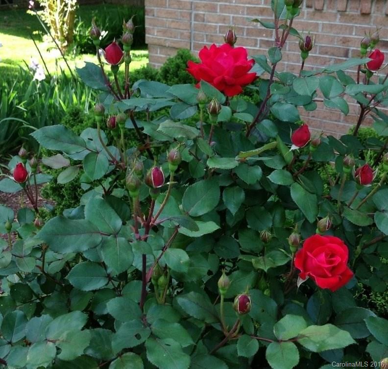 Chestnut Ridge - Residential