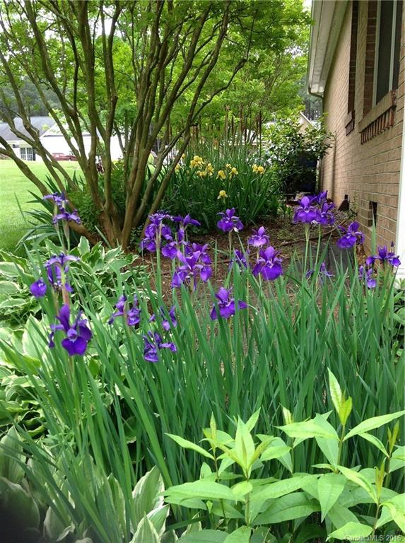 Chestnut Ridge - Residential