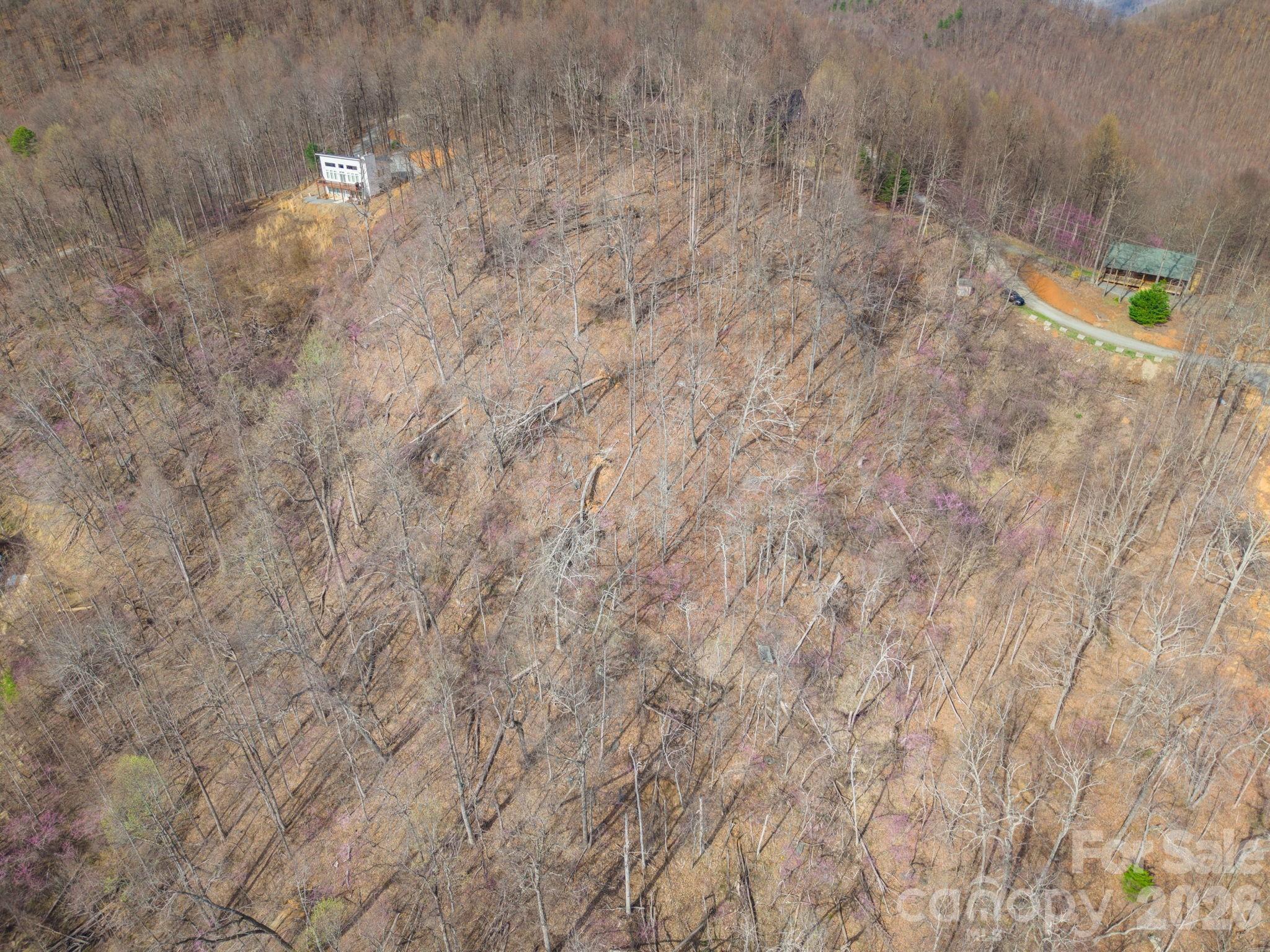 Pinnacle Mountain - Land