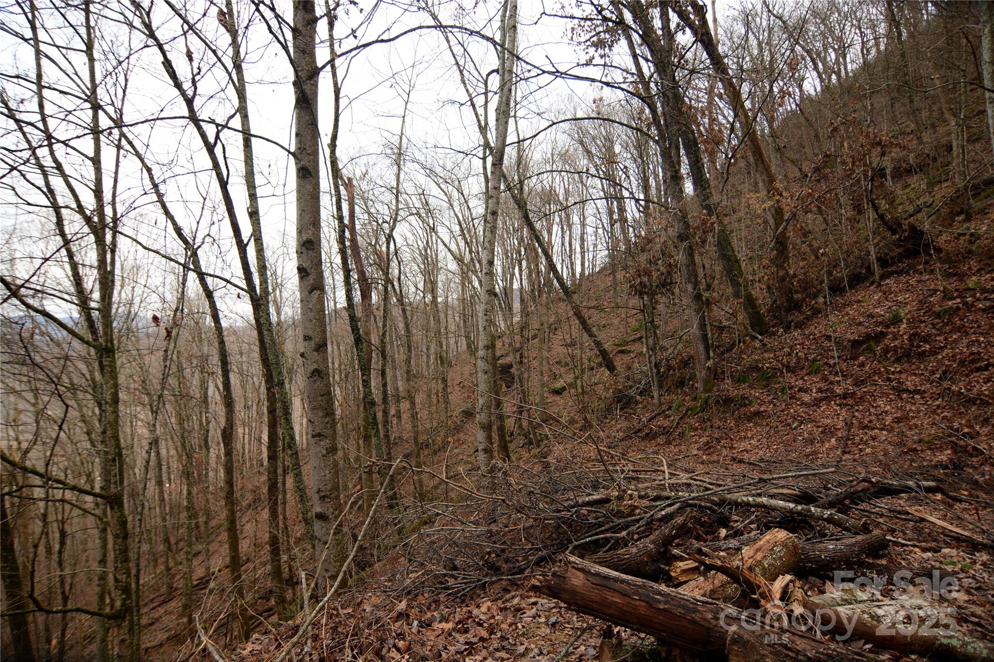000 Jacks Knob Road