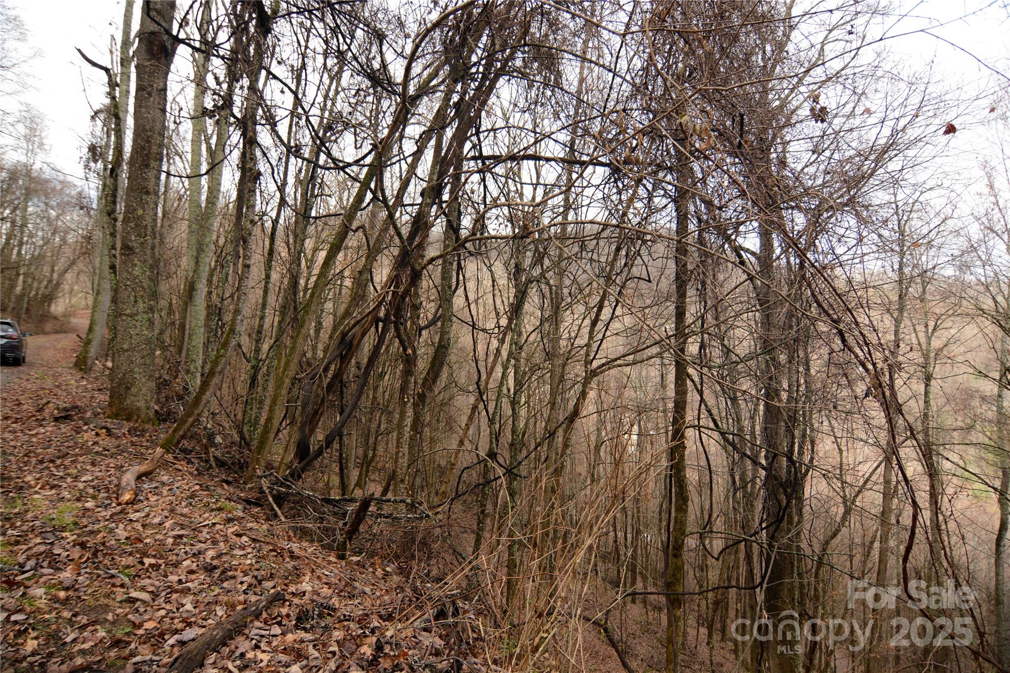000 Jacks Knob Road