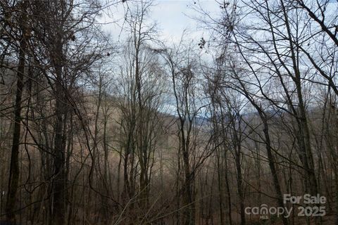000 Jacks Knob Road Barnardsville NC 28709