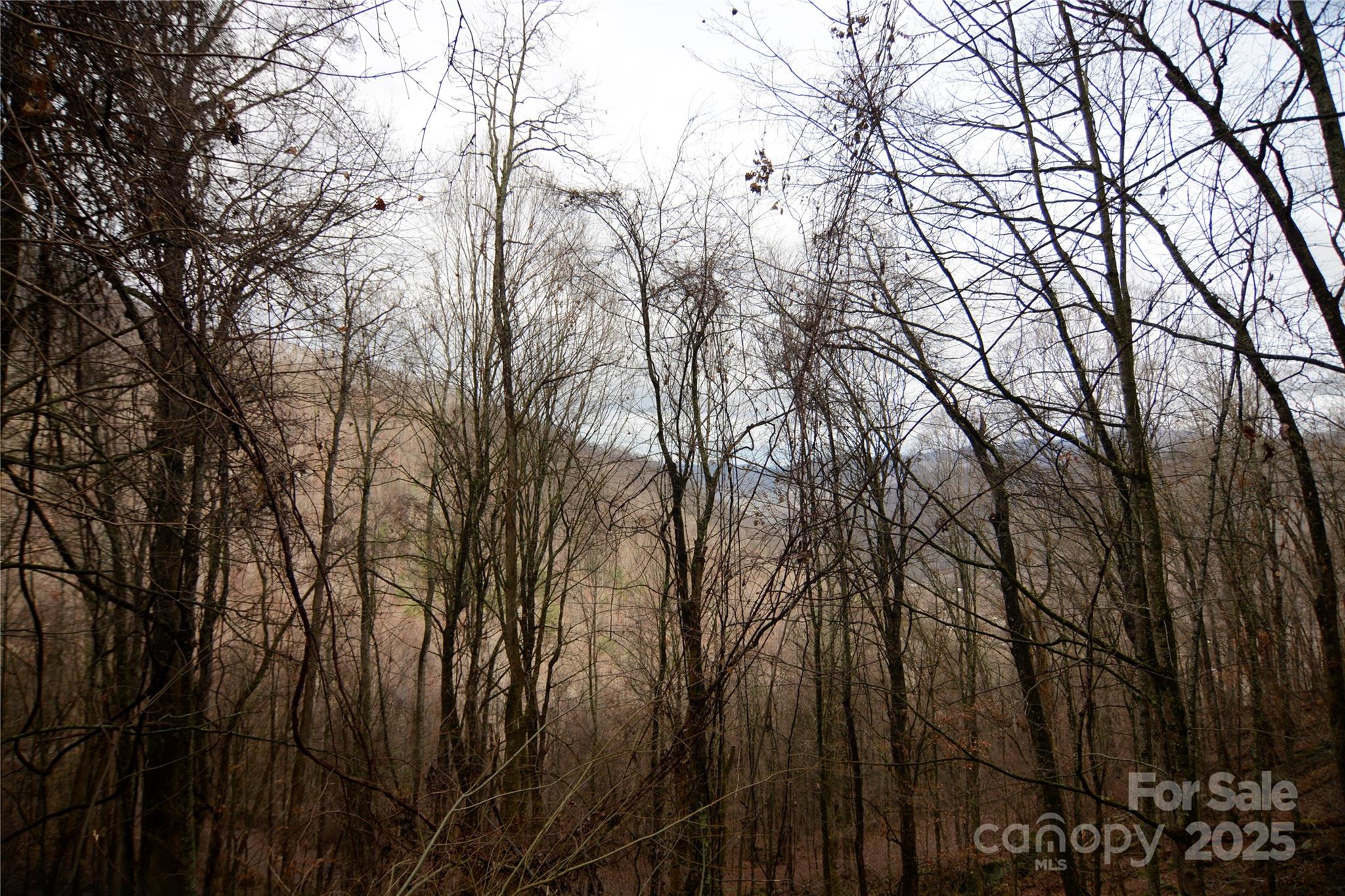 000 Jacks Knob Road